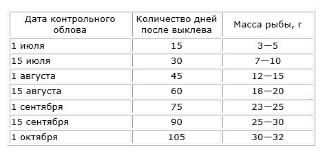 как рыбы растет быстро на лето. Смотреть фото как рыбы растет быстро на лето. Смотреть картинку как рыбы растет быстро на лето. Картинка про как рыбы растет быстро на лето. Фото как рыбы растет быстро на лето